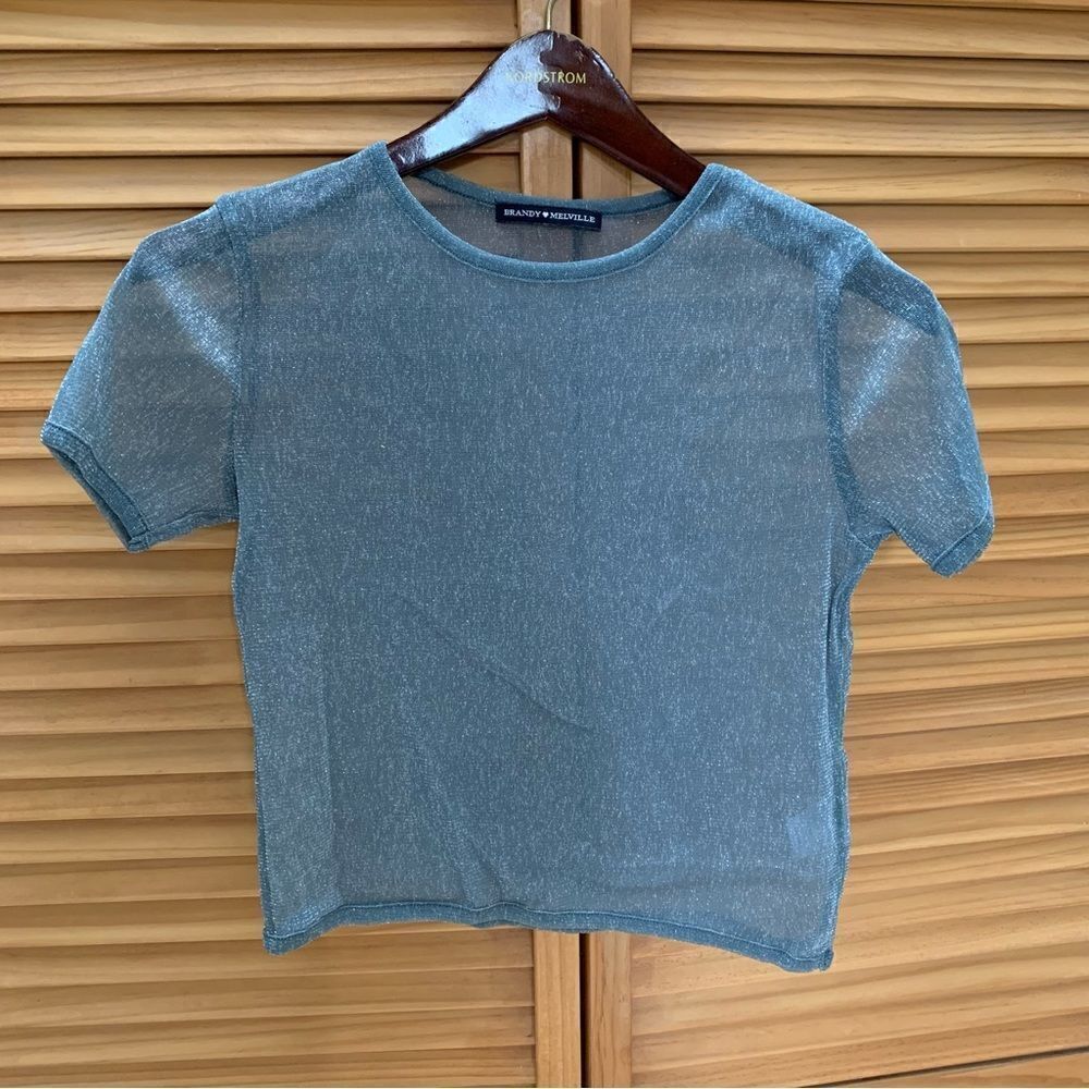 Brandy Melville Shear Crop Top